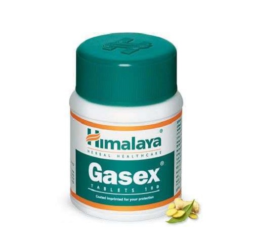 supp4u-24_supp4u-24_Himalaya Gasex 100 Tabletten